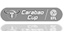Carabaoカップ